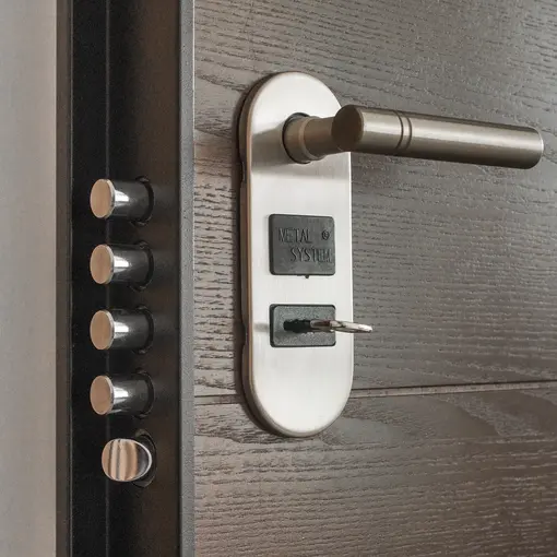 Door with a lock