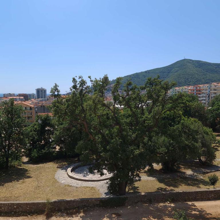 Dvosoban Stan Kod Crkve Svete Petke Nekretnine Budva