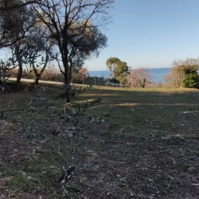 Zemljista posjeduju UTT usove za izgradnju stambenih objekata