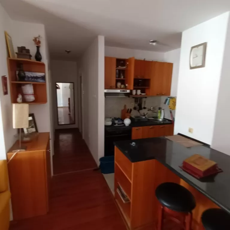 Dio dnevnog boravka sa kuhinjom i trpezarijom