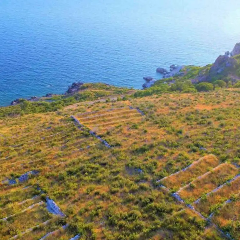Posjeduje panoramski pogled na more