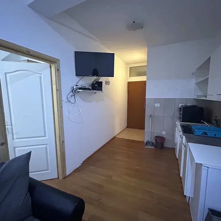 Dio dnevnog boravka sa kuhinjom i trpezarijom