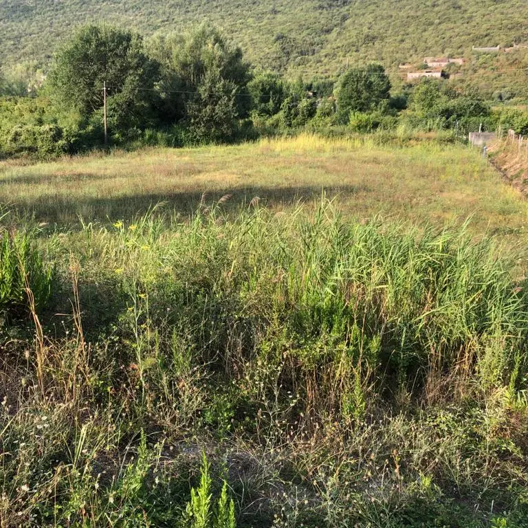 Zauzima povrsinu od 1443m2