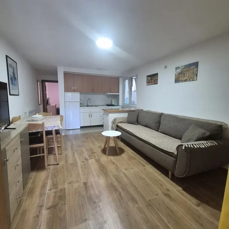 Dnevni boravak sa kuhinjom i trpezarijom