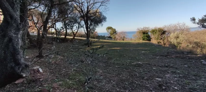 Zemljista posjeduju UTT usove za izgradnju stambenih objekata