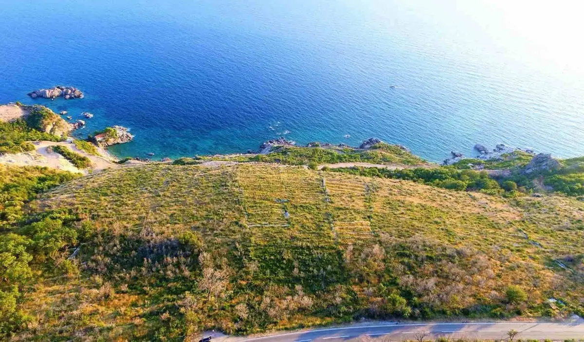 Zemljiste zauzima povrsinu od 8.000m2