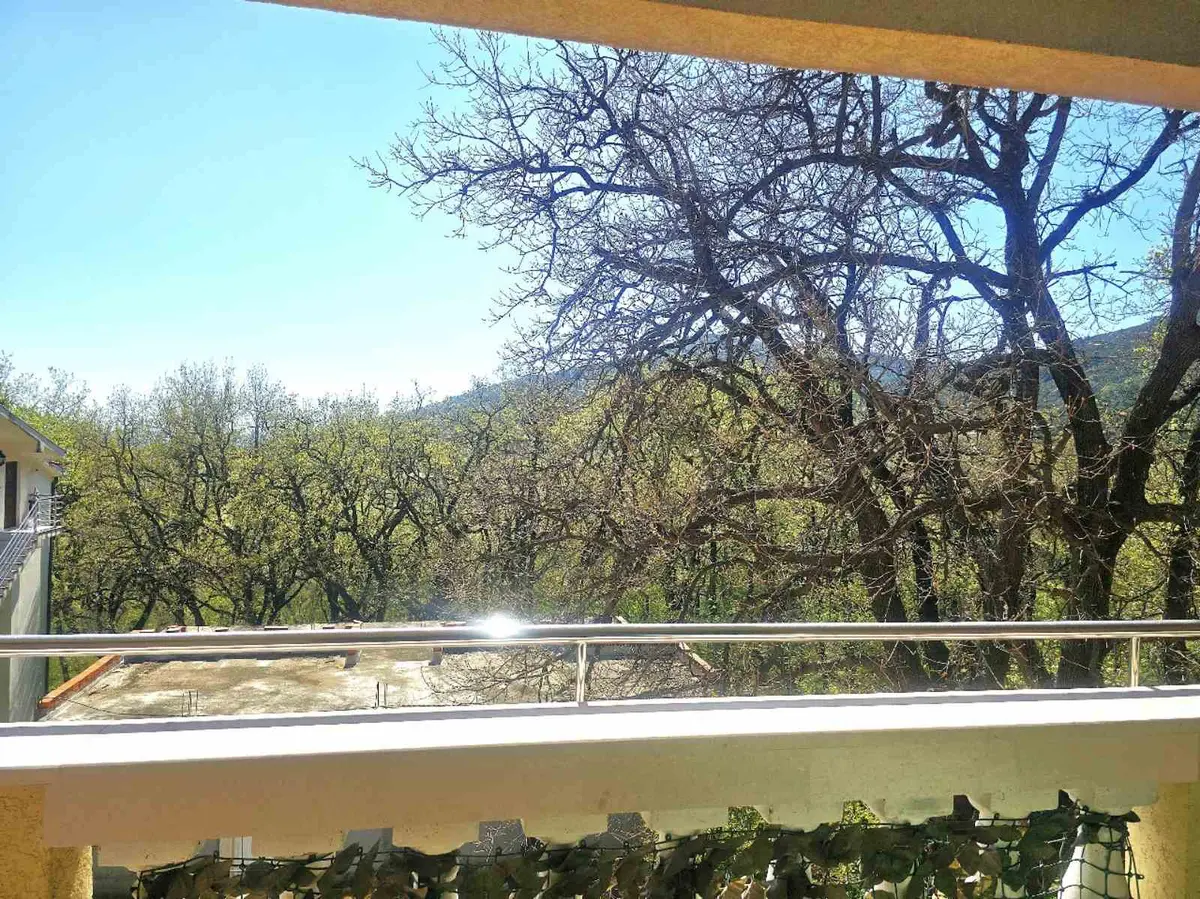 Sa terase se pruza pogled na zelenilo