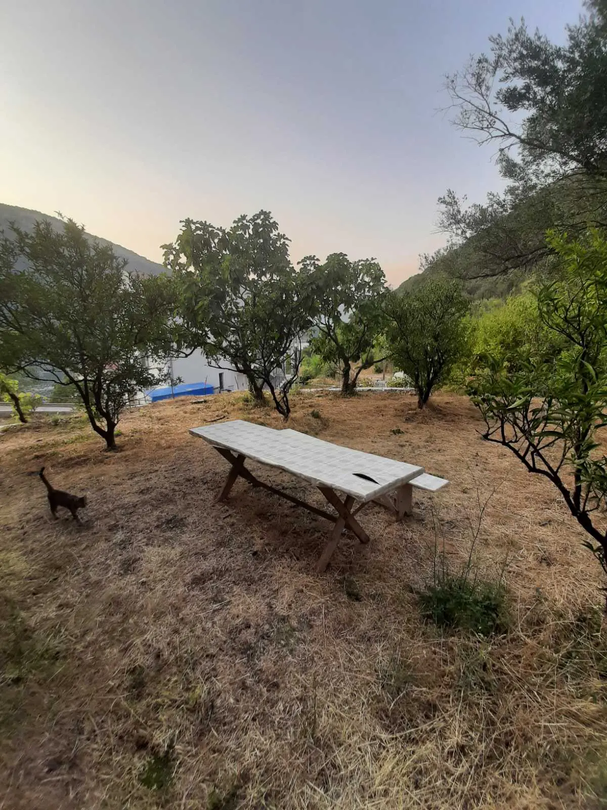 Kuca se nalazi na placu povrsine 504m2