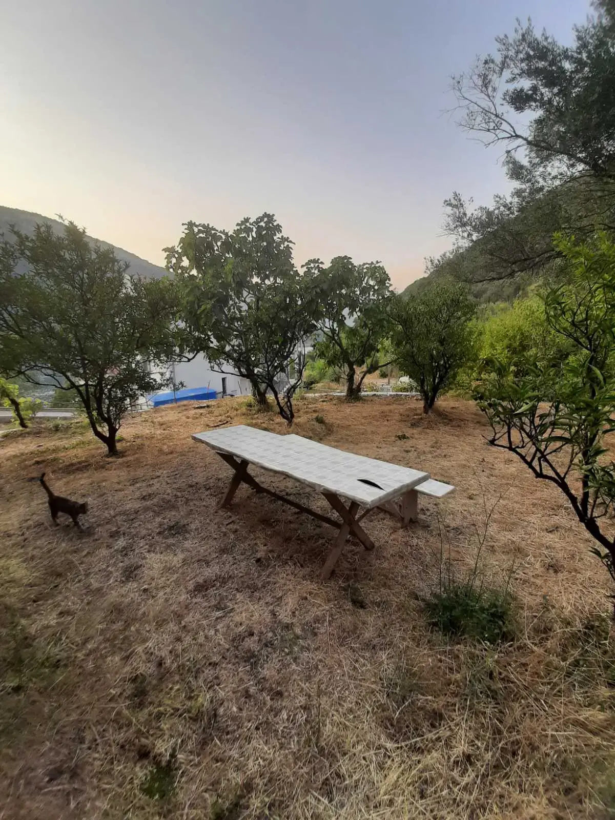 Kuca se nalazi na placu povrsine 504m2