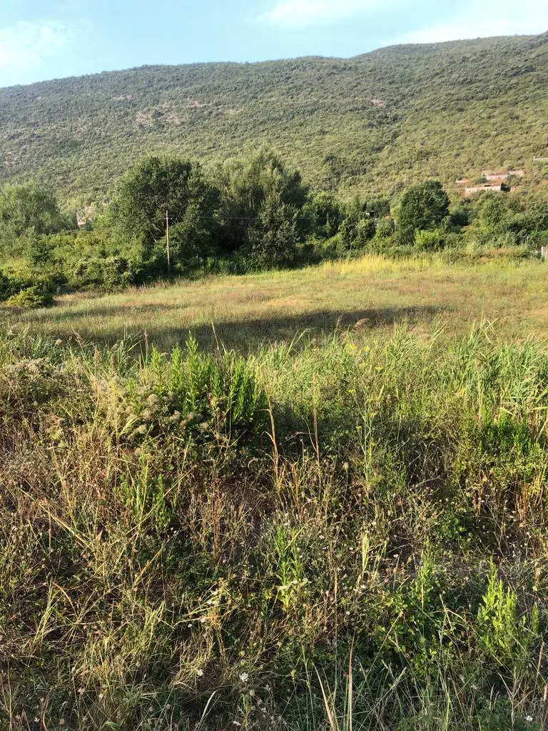 Posjeduje UTT uslove za izgradnju stambenog objekta na tri etaze