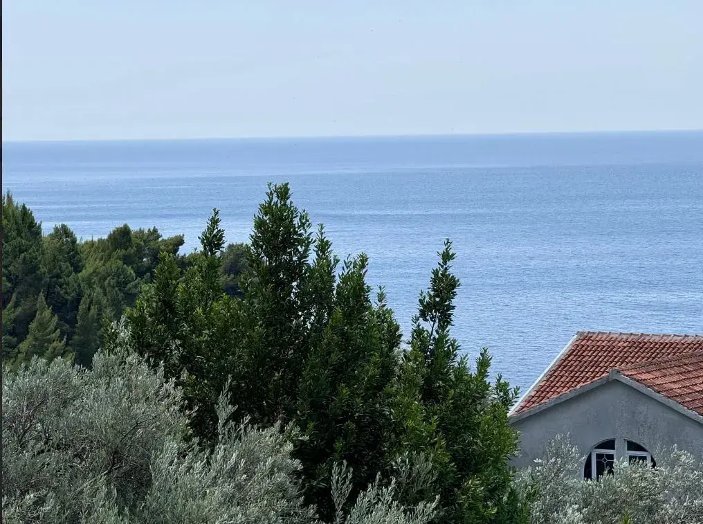 Pogled sa terase