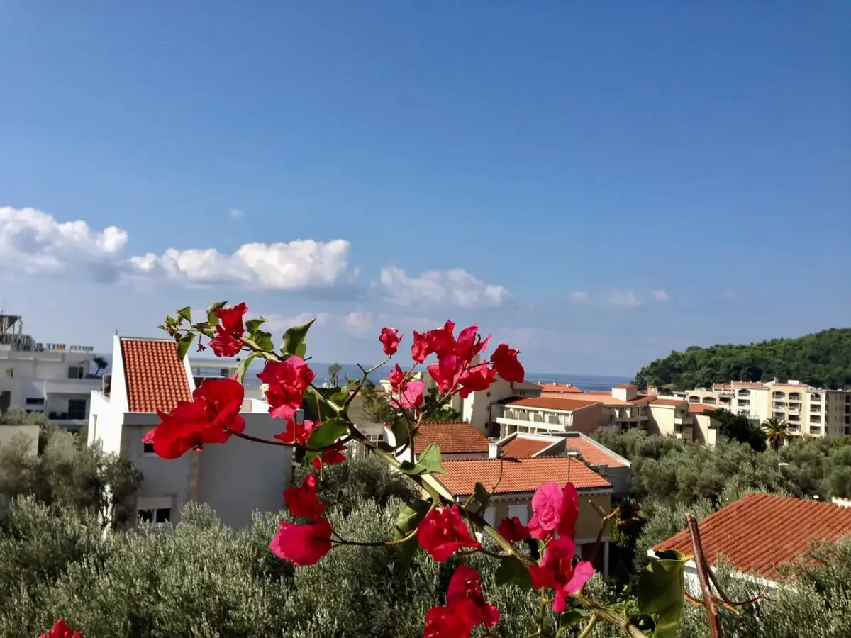 Pogled na more sa jedne od terasa