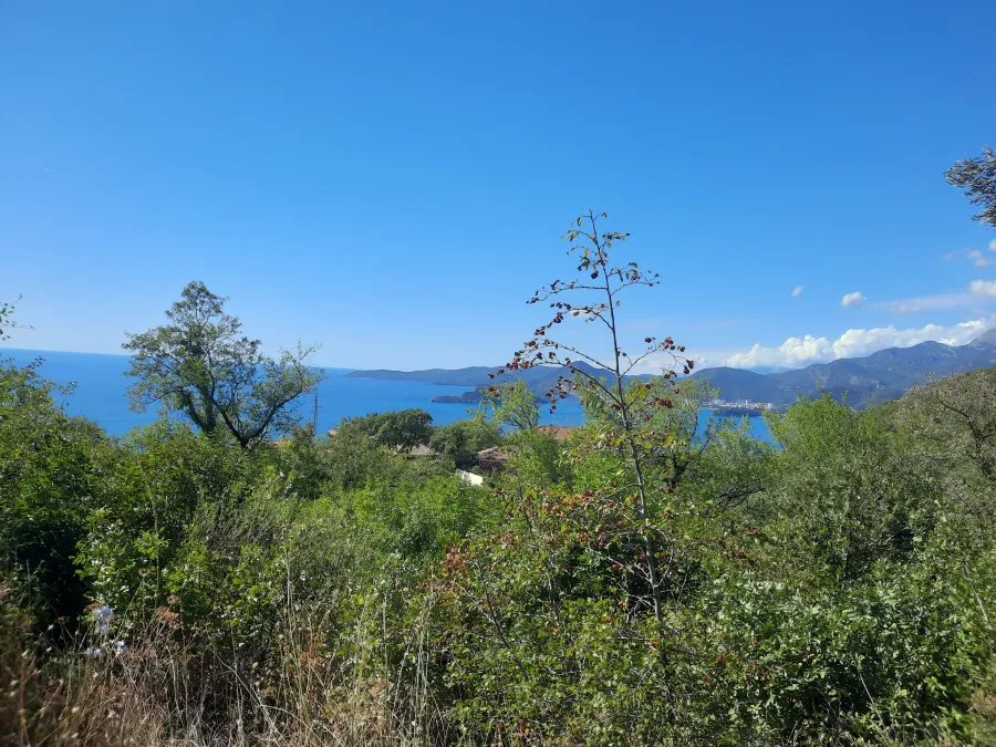 Posjeduje direktan i trajan pogled na more