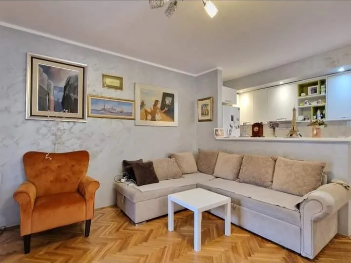 Dnevni boravak sa poluodvojenom kuhinjom